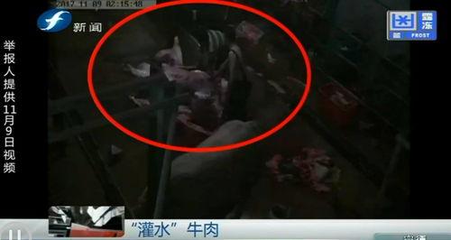 牛道爆料视频,揭秘视频背后的惊人真相